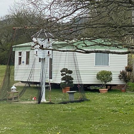 The Nest - Family Friendly Caravan Nr Glastonbury & Street 서머턴 외부 사진