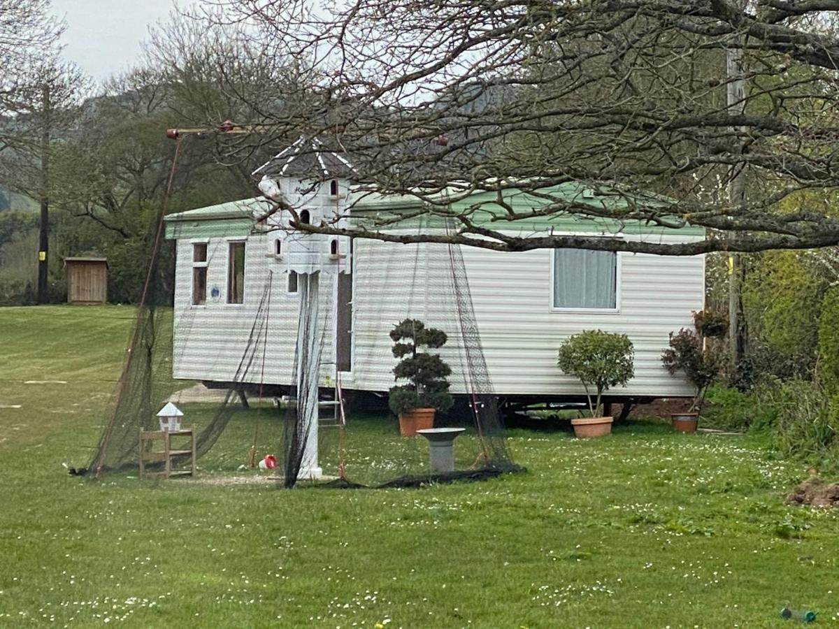 The Nest - Family Friendly Caravan Nr Glastonbury & Street 서머턴 외부 사진